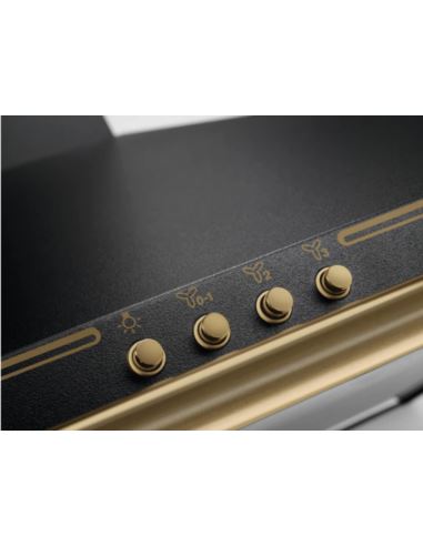 Okap Electrolux EFC226R